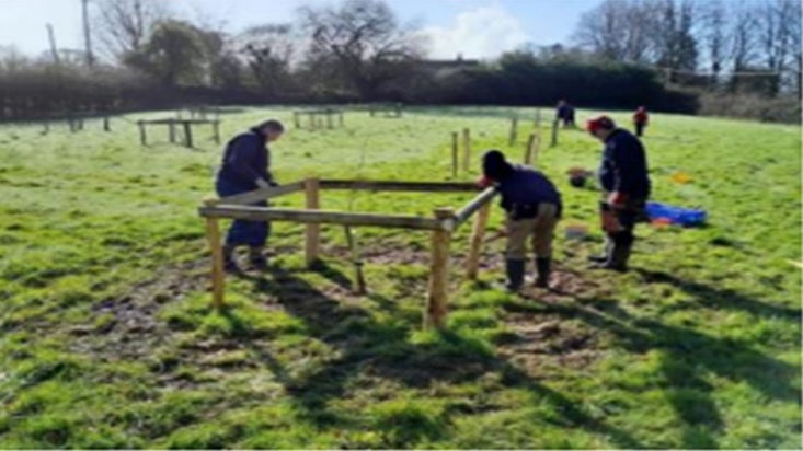 Volunteers at Killerton planting trees